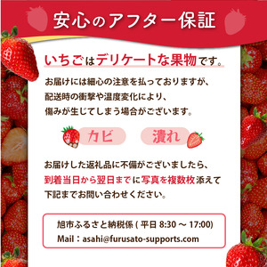 【2026年2月より発送】　いちご 1500g 品種おまかせ 苺 いちご いちご いちご イチゴ いちご いちご