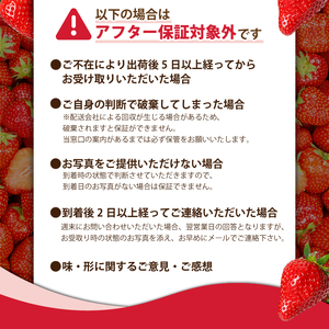【2026年2月より発送】　いちご 1500g 品種おまかせ 苺 いちご いちご いちご イチゴ いちご いちご