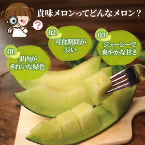 <2026年先行受付> 訳あり メロン 約5.5kg 【 メロン 】