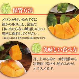 ＜2026年先行受付＞ 訳あり メロン 赤肉 約10kg 【 メロン 】
