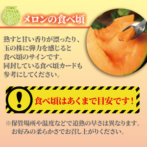 ＜2026年先行受付＞ 訳あり メロン 赤肉 約10kg 【 メロン 】