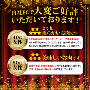 国産 豚肉 切り落とし 4kg 豚肉 豚肉 豚肉 豚肉 豚肉