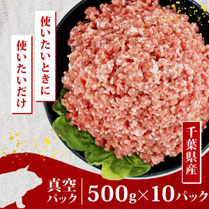 豚ひき肉 小分け 計5kg 【 豚ひき肉 】千葉県産