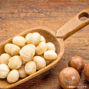 有塩 マカダミアナッツ 160g × 3袋 【 マカダミアナッツ 】