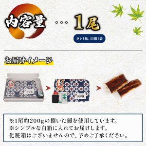 鰻蒲焼 1尾 うなぎ 【 鰻 】