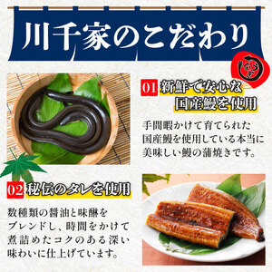 鰻 国産 うなぎ 2尾 鰻