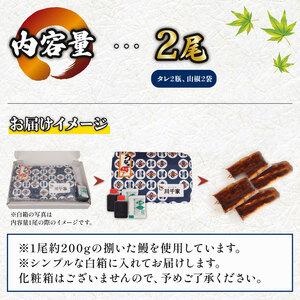 鰻 国産 うなぎ 2尾 鰻
