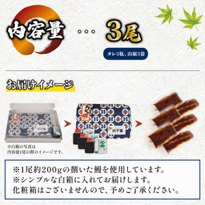 鰻蒲焼 3尾 うなぎ 【 鰻 】