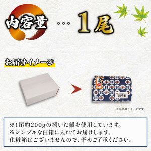 鰻白焼 1尾 うなぎ 【 鰻 】