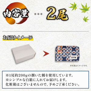 鰻白焼 2尾 うなぎ 【 鰻 】