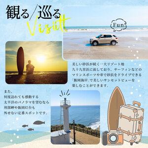 アイスプラント 960g 80g×12p アイスプラント