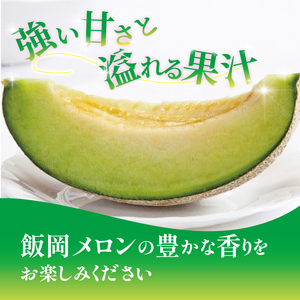 <2026年先行受付> 訳あり メロン 約5.5kg以上 青肉 【 メロン 】