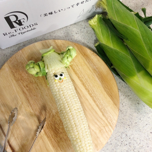 【 2026年 先行予約 】 白とうもろこし 8本 【 とうもろこし 】