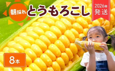 【 2026年 先行予約 】とうもろこし 8本 黄色 【 とうもろこし 】