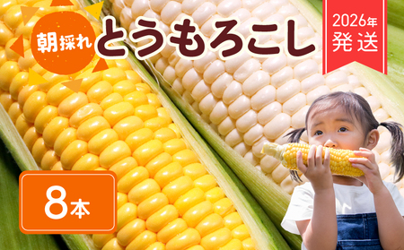 【 2026年 先行予約 】 とうもろこし 白＆黄 8本 【 とうもろこし 】