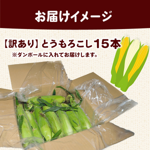 【 2026年 先行予約 】おまかせ 訳あり とうもろこし 15本 【 とうもろこし 】