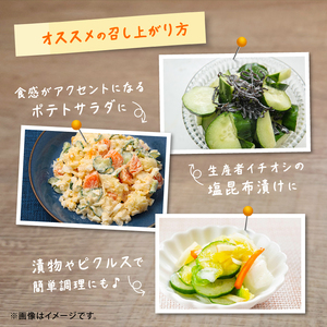 【訳あり】【2026年先行予約】産地直送きゅうり 4kg[shi003]夏野菜 国産 胡瓜 訳アリ