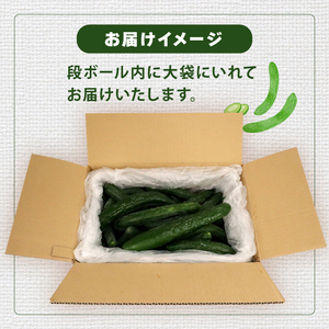 【訳あり】【2026年先行予約】産地直送きゅうり 4kg[shi003]夏野菜 国産 胡瓜 訳アリ