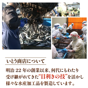 訳あり はまぐり 3kg 砂抜き 【 はまぐり 】