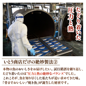 レンジ で簡単 骨まで美味しい 焼き魚 セット 3種 計 7枚 （ アジ ×2・ サンマ ×2・ 鰯 ×3）【 焼き魚 】