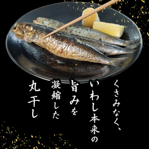 いわしの丸干し  約 1.2kg   イワシ