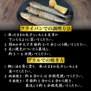 いわしの丸干し 約 3kg イワシ