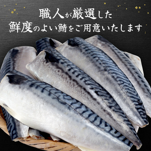 訳あり 塩さば 約2.7kg フィーレ 訳あり FN-SupportProject 増量 年末企画