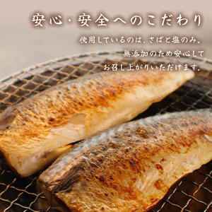 訳あり 塩さば 約2.7kg フィーレ 訳あり FN-SupportProject 増量 年末企画