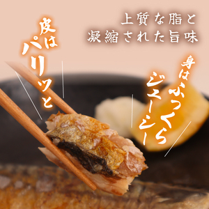 訳あり 塩さば 約2.7kg フィーレ 訳あり FN-SupportProject 増量 年末企画