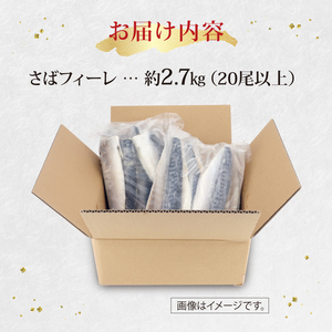 訳あり 塩さば 約2.7kg フィーレ 訳あり FN-SupportProject 増量 年末企画