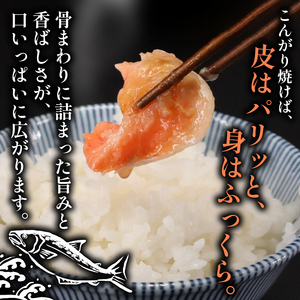 訳あり 鮭かま 4kg 【 鮭カマ 】