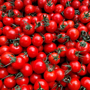 【2026年発送】フルーツトマト 約1kg フルティカ