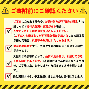 千葉県産 梨 あきづき 約 2.5kg