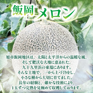 ＜2026年先行予約＞ メロン 赤肉メロン 【 2玉 】