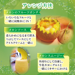 ＜2026年先行予約＞ メロン 赤肉メロン 【 2玉 】