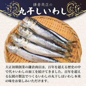 いわしの丸干し  約 1.8kg   【イワシ】