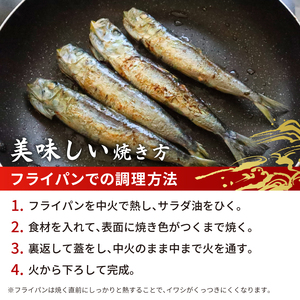 いわしの丸干し  約 1.8kg   【イワシ】