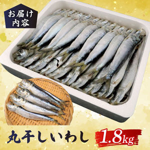 いわしの丸干し  約 1.8kg   【イワシ】