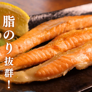 訳あり 鮭 ハラス 1.8kg さけ