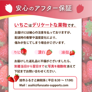 朝摘み苺「さちのか」大粒 苺 約400g【向後いちご園】