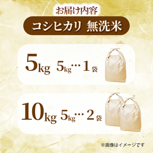 コシヒカリ 10kg 令和7年産 新米 白米 コシヒカリ 千葉県
