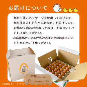 卵 マルゲンの米たまご Lサイズ 80個 卵