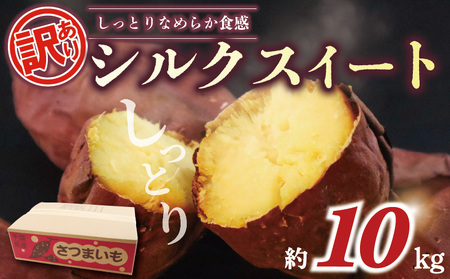 訳あり さつまいも シルクスイート 10kg 【さつまいも】