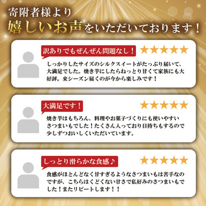 訳あり さつまいも シルクスイート 10kg 【さつまいも】