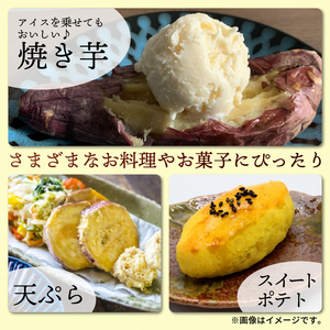 訳あり さつまいも シルクスイート 10kg 【さつまいも】