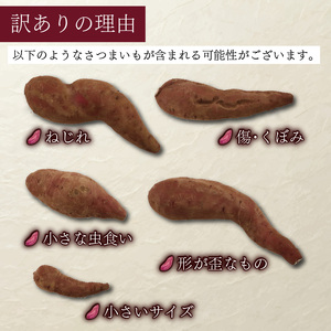 訳あり さつまいも シルクスイート 10kg 【さつまいも】