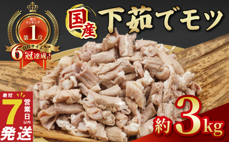 国産 下茹でモツ 約3kg 【 下茹でモツ 】