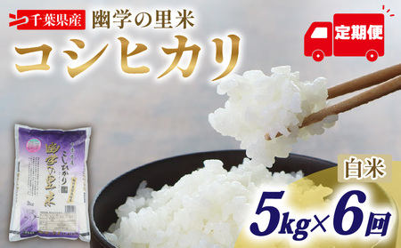 【定期便6回】 令和7年産 米 幽学の里米 コシヒカリ 5kg 【 コシヒカリ 】