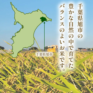 コシヒカリ 10kg 令和7年産 白米 コシヒカリ 千葉県
