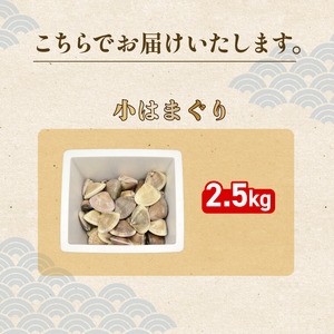活 はまぐり 約2.5kg (40-60gサイズ) はまぐり 蛤